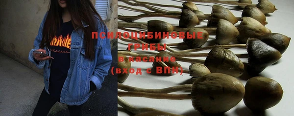 PSILOCYBIN Остров